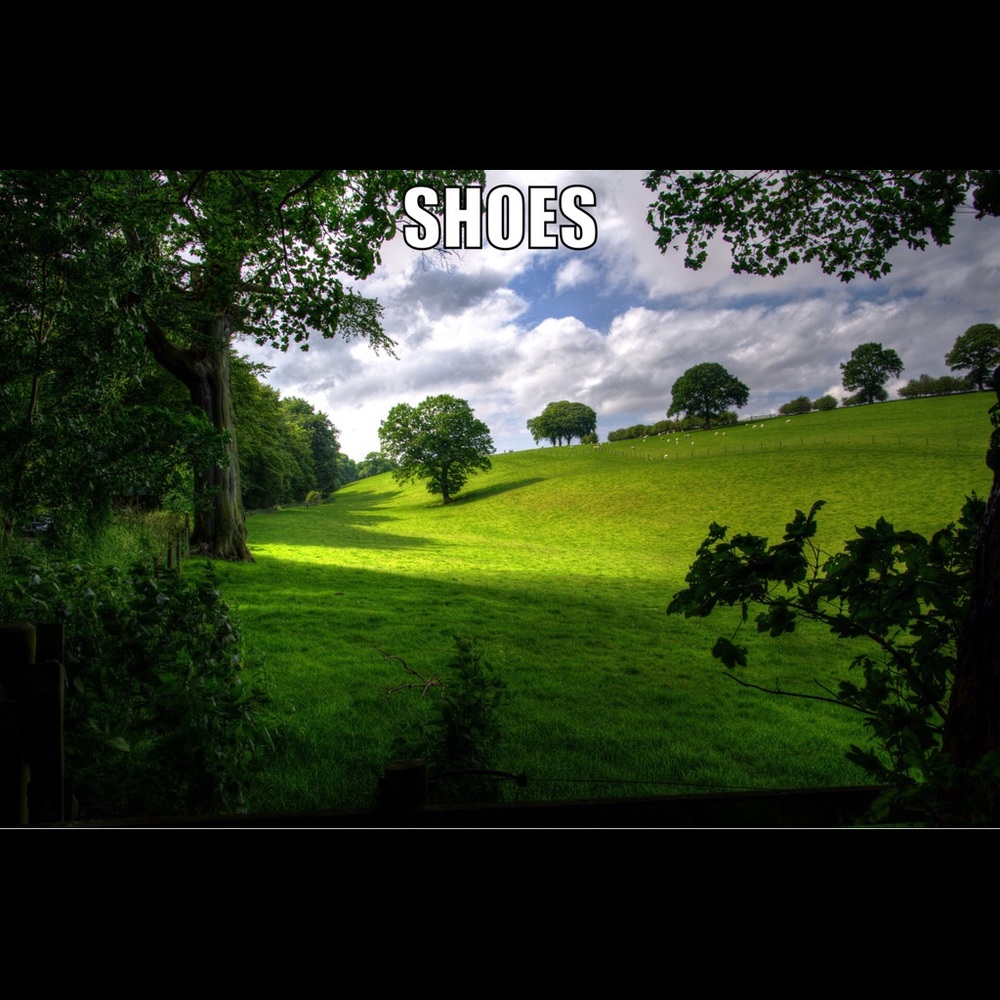 Shoes